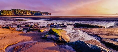brunswick cruise|cruises to bay of fundy.